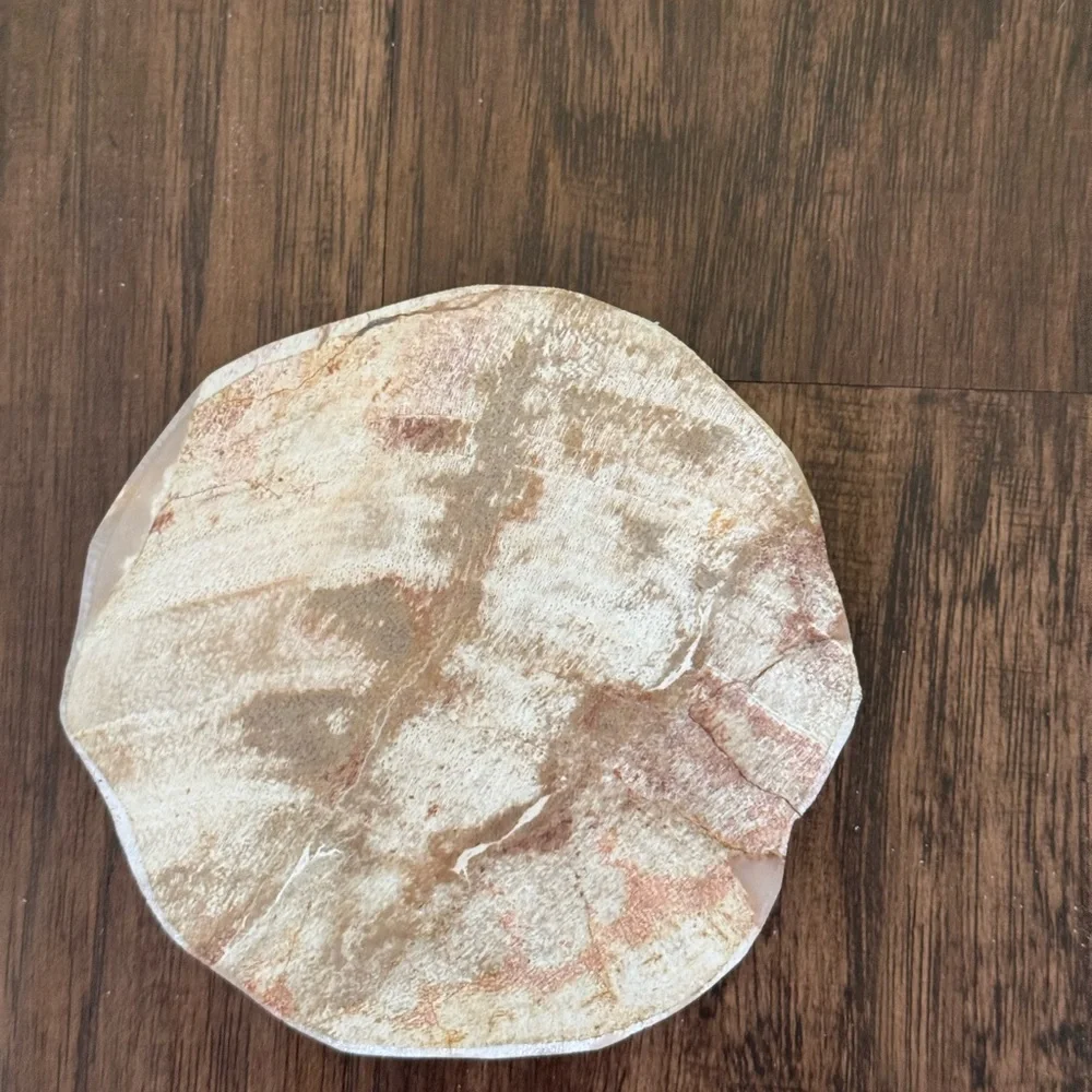 West Elm Petrified coasters set of 4